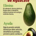Té de Semilla de Aguacate: Beneficios, Propiedades y Receta