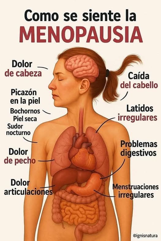 Síntomas de la Menopausia