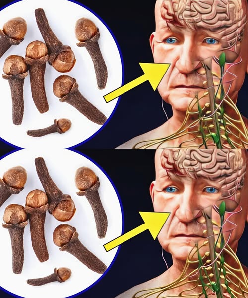 Beneficios de Masticar Clavos de Olor