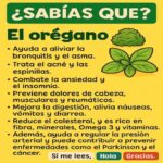 Combate 15 Problemas De Salud Con Orégano