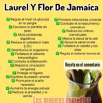 Beneficios del Té de Canela, Laurel y Flor de Jamaica para Tu Salud