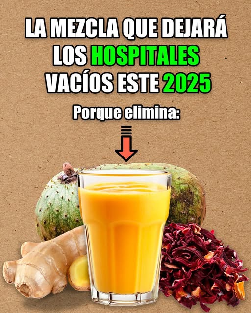 Mezcla de Jengibre, Guanábana y Jamaica
