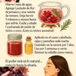 Receta Natural para el Crecimiento del Cabello con Flor de Jamaica