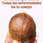 Descubre los Beneficios de la Semilla de Aguacate para tu Salud