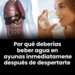 Beneficios de Beber Agua en Ayunas: Mejora tu Salud desde el Despertar