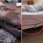 Consejos de Salud: Mejora la Higiene de Tu Cama con Remedios Naturales