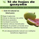 Los Asombrosos Beneficios del Té de Hoja de Guayaba para tu Salud