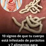 Descubre los Terribles Síntomas de la Infestación por Parásitos y Cómo Combatirlos de Manera Natural