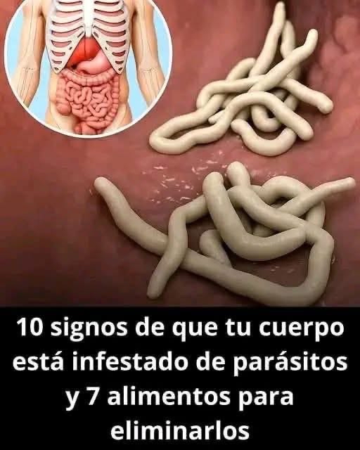 Parásitos en el sistema digestivo