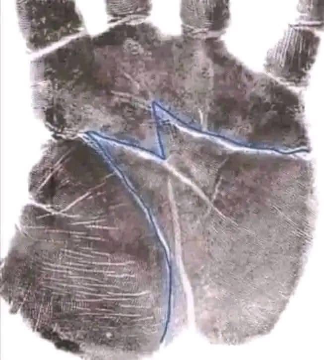 Palma de la mano con líneas destacadas en azul