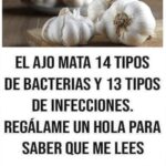 Beneficios del Ajo: Potente Antibacteriano Natural y Más | Remedios Naturales