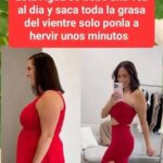 Infusión Casera de Dos Ingredientes para Reducir la Grasa del Vientre