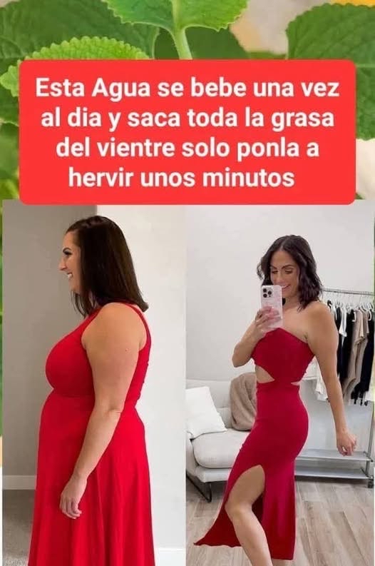 Infusión casera para reducir la grasa del vientre