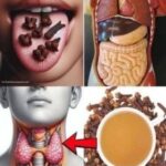 Los Beneficios Sorprendentes de Masticar Clavos de Olor para la Salud