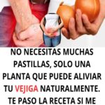 Mejora la Salud de tu Vejiga con Remedios Naturales: ¡Sin Pastillas Costosas!