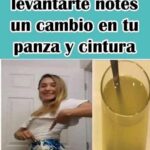 Deshazte de la Grasa Abdominal con Solo Dos Ingredientes