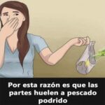 Combatir Olores Desagradables: Higiene y Cuidados de la Ropa Interior Femenina