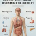 Cómo las Emociones afectan nuestros Órganos y su Salud