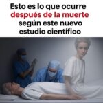 Más Allá de la Vida: Lo que Occurre Después de la Muerte según Estudios y su Impacto en Nuestra Salud
