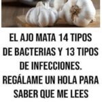 Los Sorprendentes Beneficios del Ajo: Más que un Sazonador