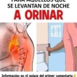 ¿Te Levantas de Noche para Orinar? Descubre las Causas y Remedios Naturales
