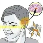 ¿Zumbido en el oído? Señales de alerta y remedios naturales