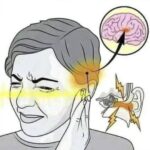 ¿Zumbido en el Oído? Conoce sus Causas y Remedios Naturales