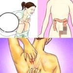 Signos de Problemas Digestivos y Remedios Naturales