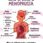 Menopausia: Sintomatología y Cómo Aliviarla con Remedios Naturales