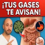 ¡Tus Gases Te Avisan! Cómo la Salud Digestiva Se Manifiesta en Tu Cuerpo