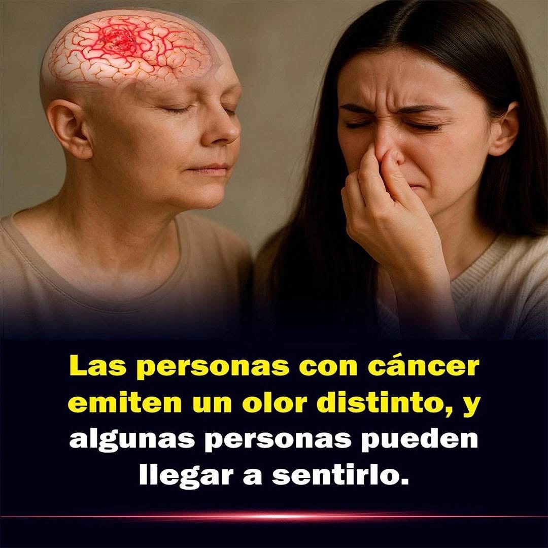 Olor corporal y cáncer