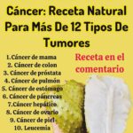 Guanábana: La Fruta Mágica en la Lucha Contra el Cáncer