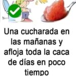 El Poder de una Cucharada: Un Remedio Natural para Mejorar tu Digestión