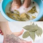 ¡Más fuerte que el ajo y el limón! Descubre los Beneficios del Remojo de Pies con Hojas de Laurel