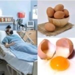 El Huevo y Su Impacto en la Salud: Mitos y Realidades