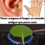 Orégano: El Remedio Natural que Transforma Tu Salud