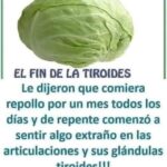 Los Efectos del Repollo en la Salud: ¿Beneficios o Riesgos para la Tiroides y las Articulaciones?