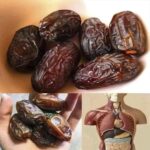 Los Dátiles: La Fruta Más Poderosa para Tu Salud Digestiva