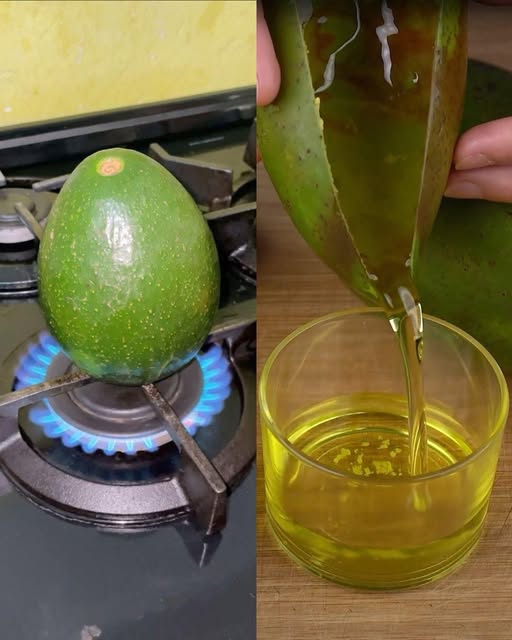 Proceso de extracción de aceite de aguacate