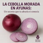 Recetas Ancestrales con Cebolla Morada: Un Camino Hacia una Salud de Hierro