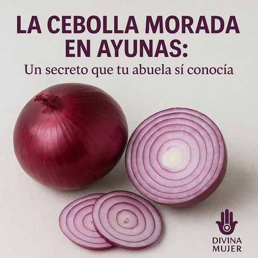 Cebolla morada en rodajas