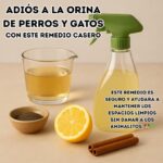 Adiós a la Orina de Perros y Gatos: Un Remedio Casero Efectivo