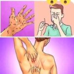Señales Tempranas de la Diabetes: Cómo Reconocerlas y Actuar