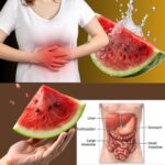 Desintoxica Tu Cuerpo en 3 Días: Cómo Limpiar Intestinos, Hígado y Riñones con Remedios Naturales