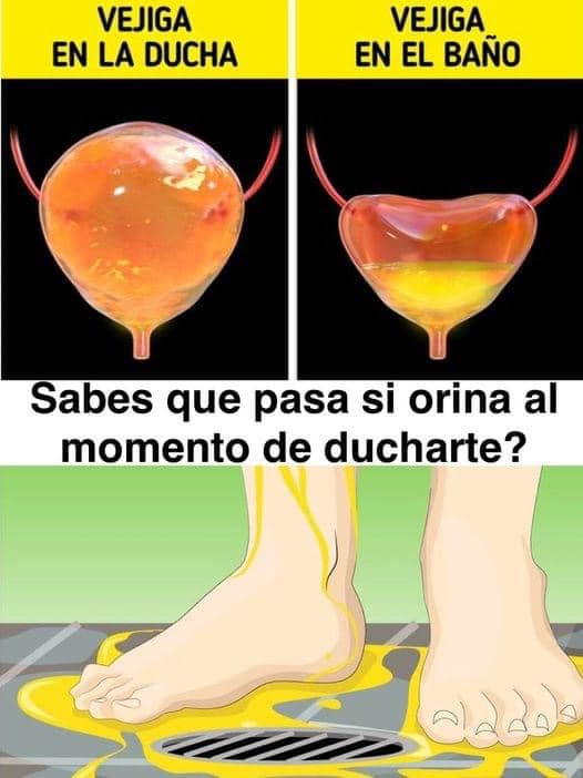 Vejiga en la ducha vs. Vejiga en el baño