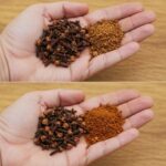 Mezcla de Clavos de Olor y Café: Un Truco Casero Barato y Versátil