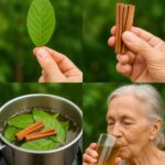 Receta Natural para Mejorar la Salud de Tus Riñones