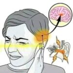 ¿Zumbido en el oído? Descubre las causas y remedios naturales para aliviarlo