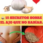 15 Secretos sobre el Ajo que No Sabías: ¡Descubre sus Beneficios Ocultos!