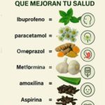 Hierbas Medicinales: Recetas Ancestrales para tu Bienestar Diario